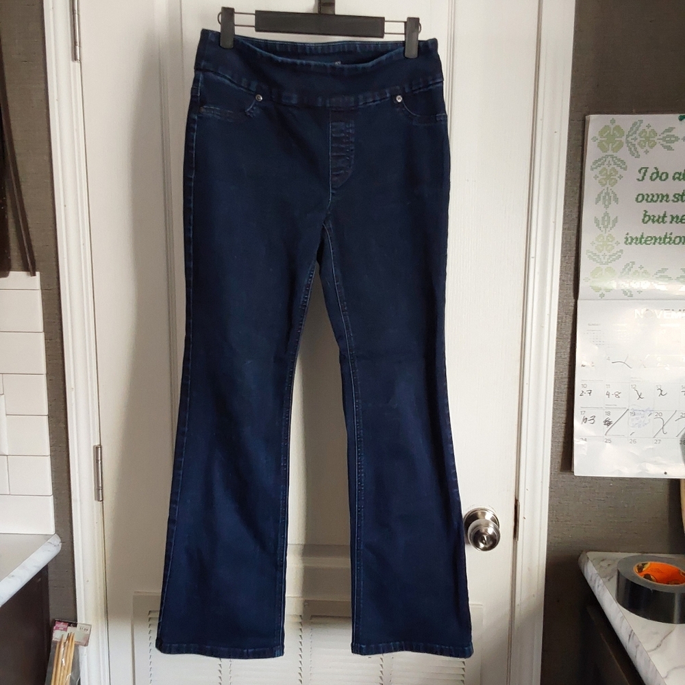 Chicos Nicky Boot Cut Flare